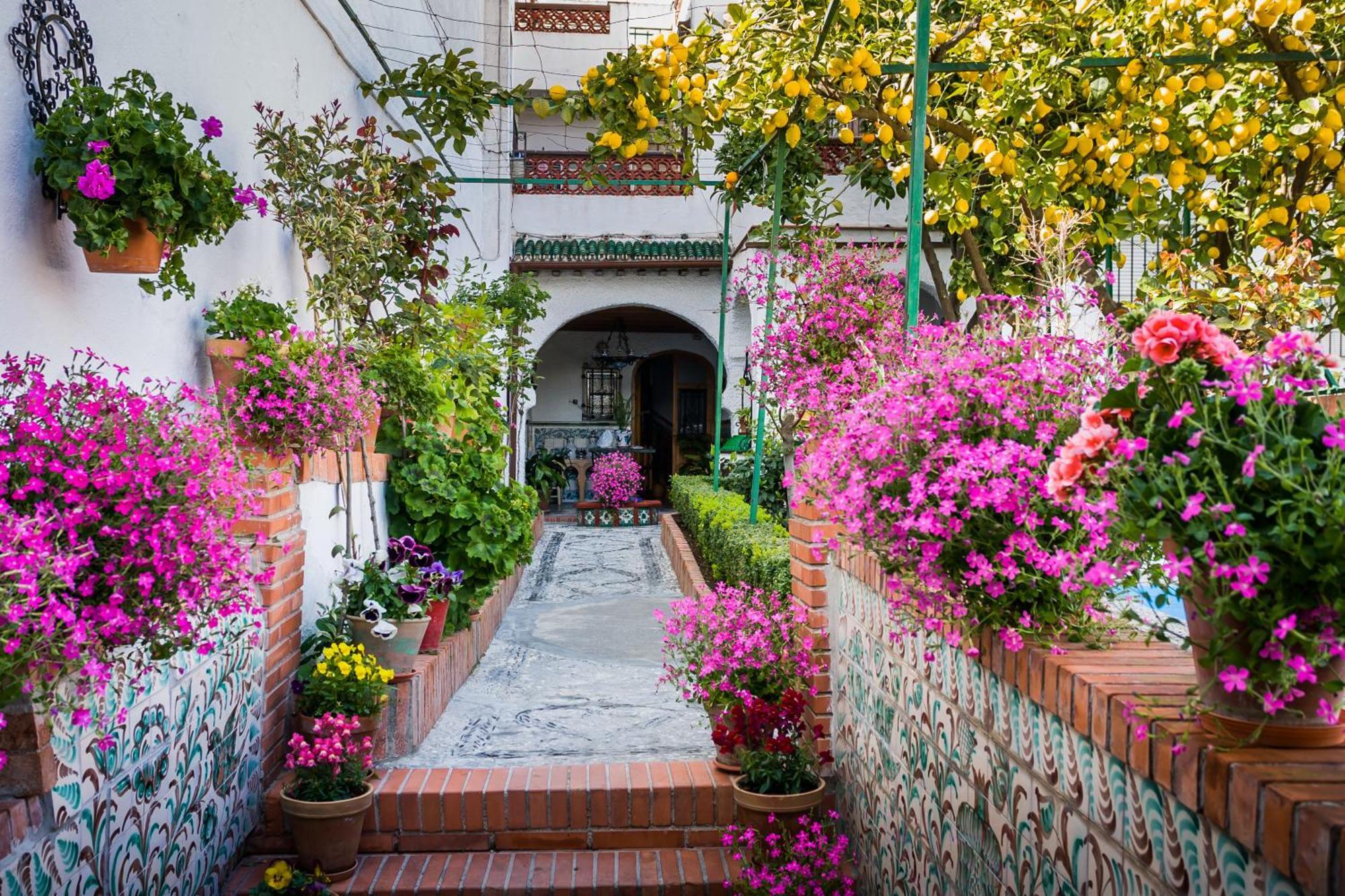 Grazaries -Piso Centrico Granada- Apartment Exterior photo